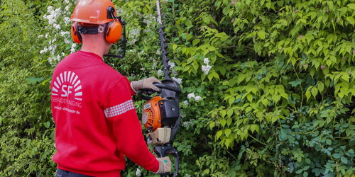 Mitarbeiter bei der Grünanlagenpflege